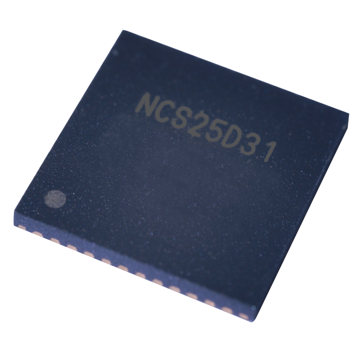 NCS25D31